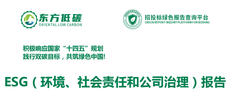 ESG（环境、社会责任和公司治理）报告